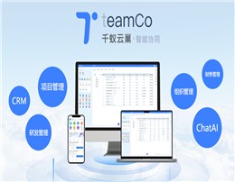 TeamCo 千蚁云巢·智能协同平台